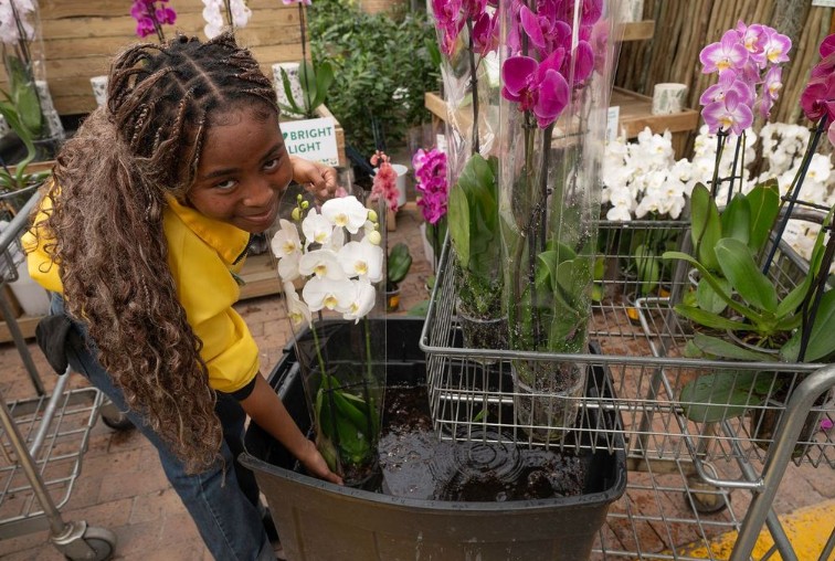 Water-wise gardening in Cape Town – Stodels Bellville demonstrates the dunking method